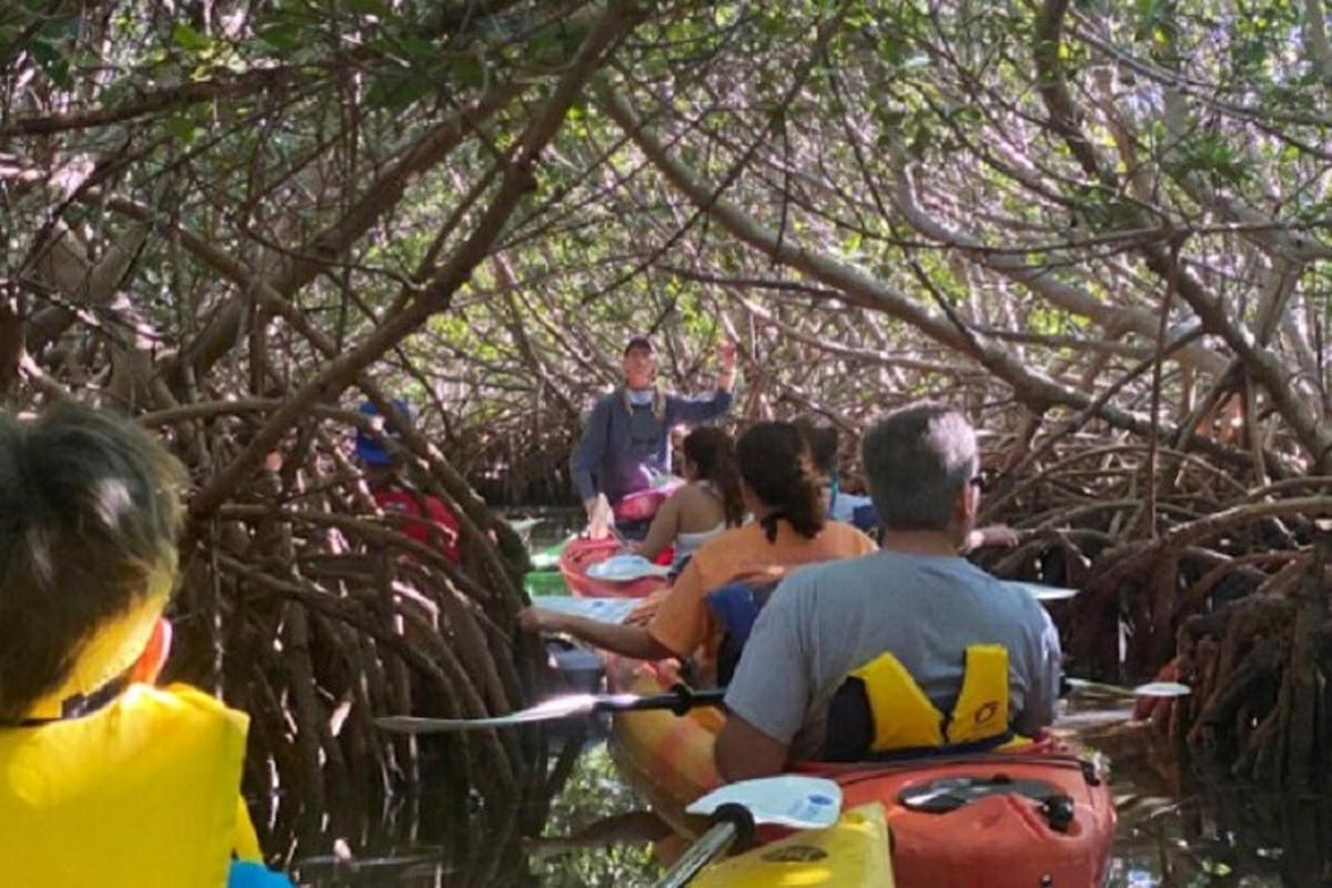 a group of people riding on a raft in the woods
