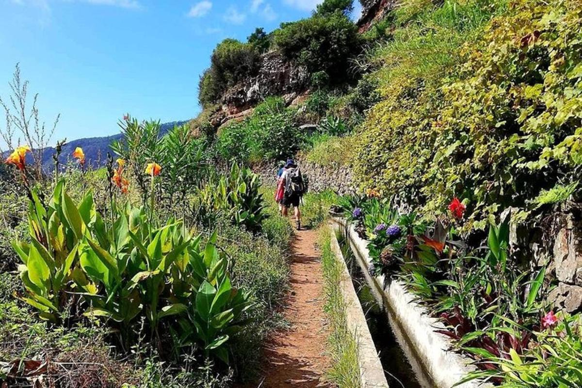 una persona caminando por un sendero de tierra en una montaña