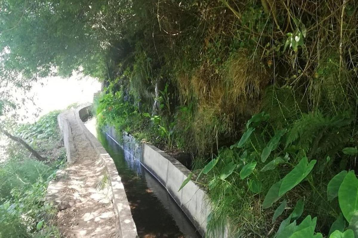 Un muro de contención junto a un río con plantas.