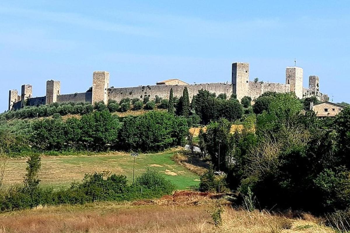 великий замок на вершині пагорба з деревами