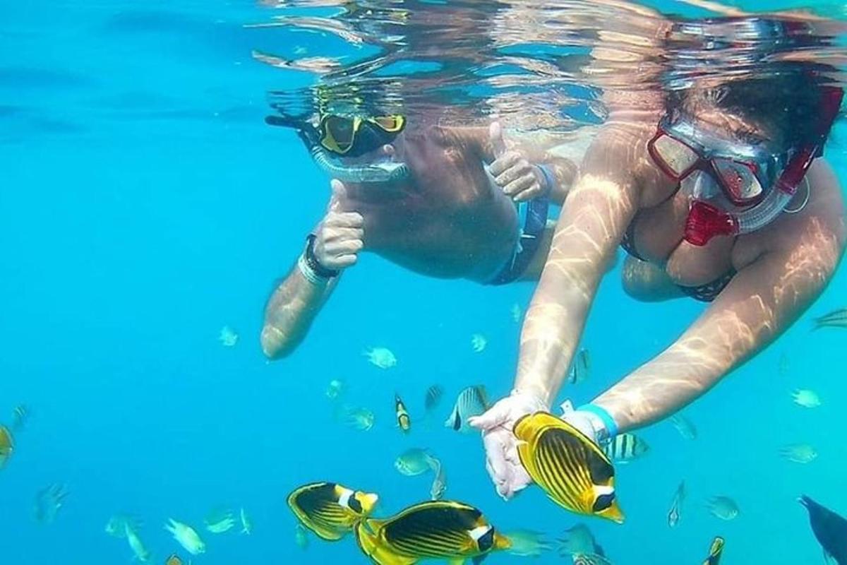 seorang wanita berenang di dalam air dengan ikan