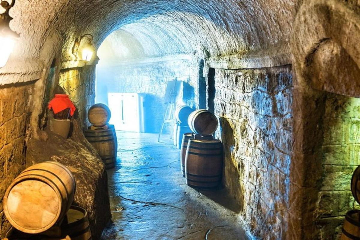 tunel s vinnými sudy v kamenné budově