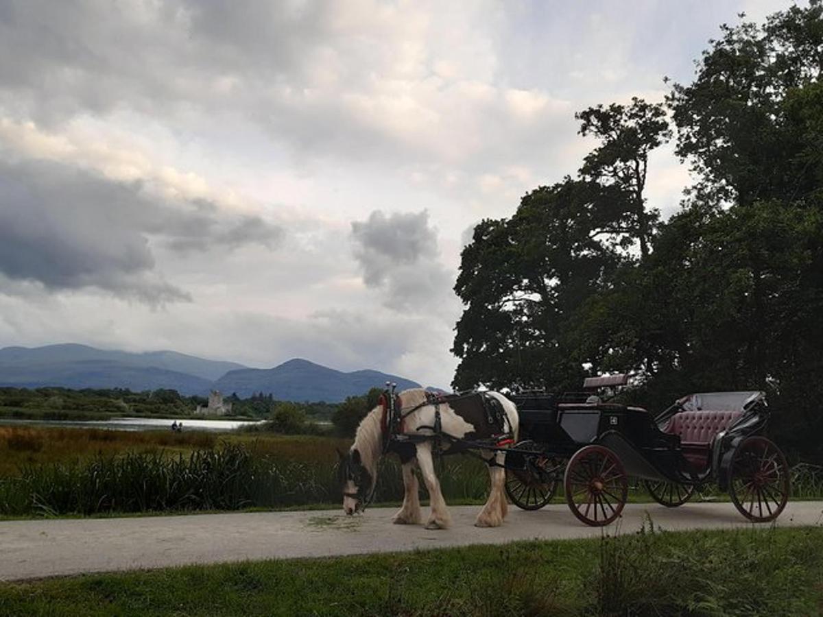 a horse pulling a carriage on a road