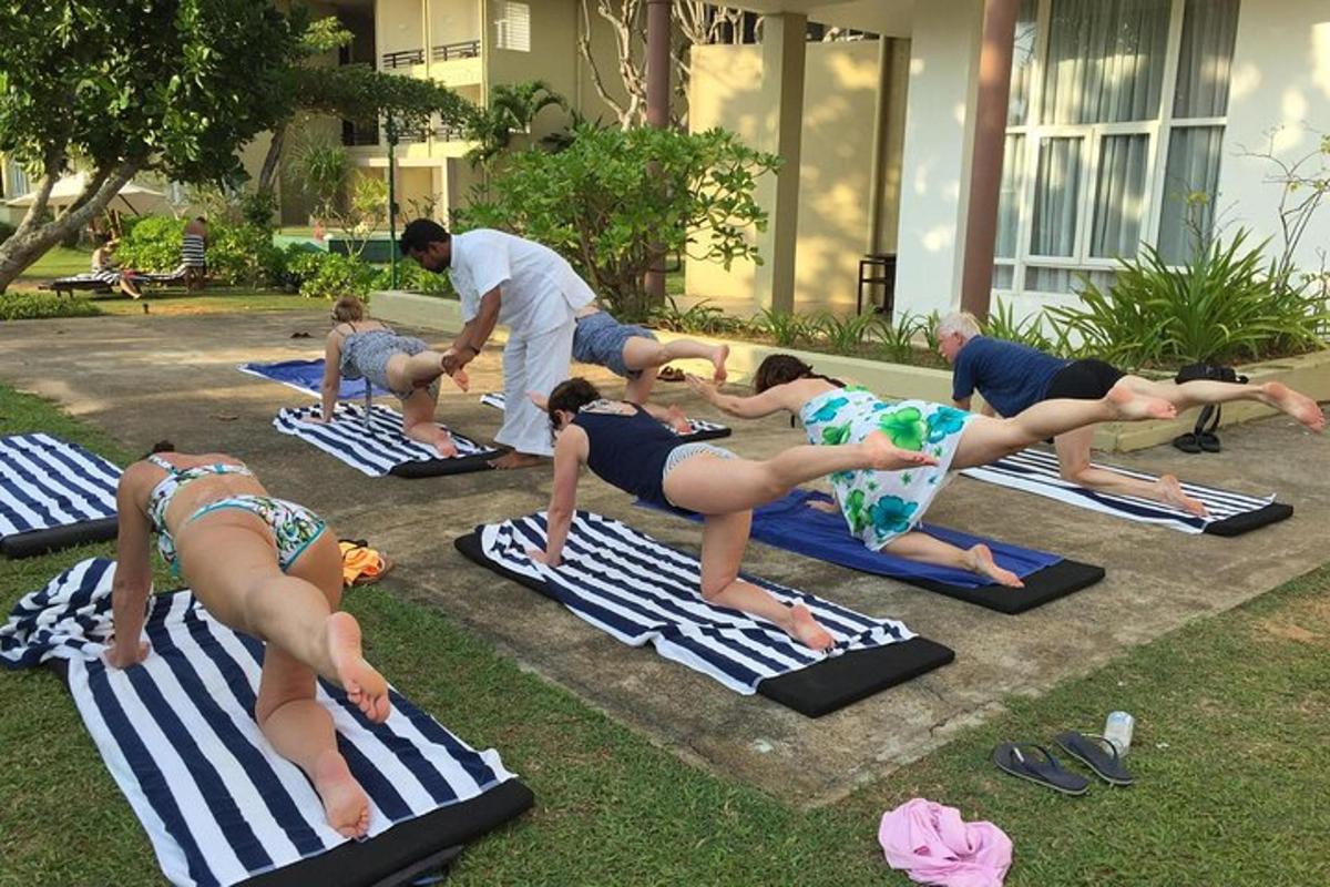 en gruppe mennesker, der laver yoga på måtter i græsset