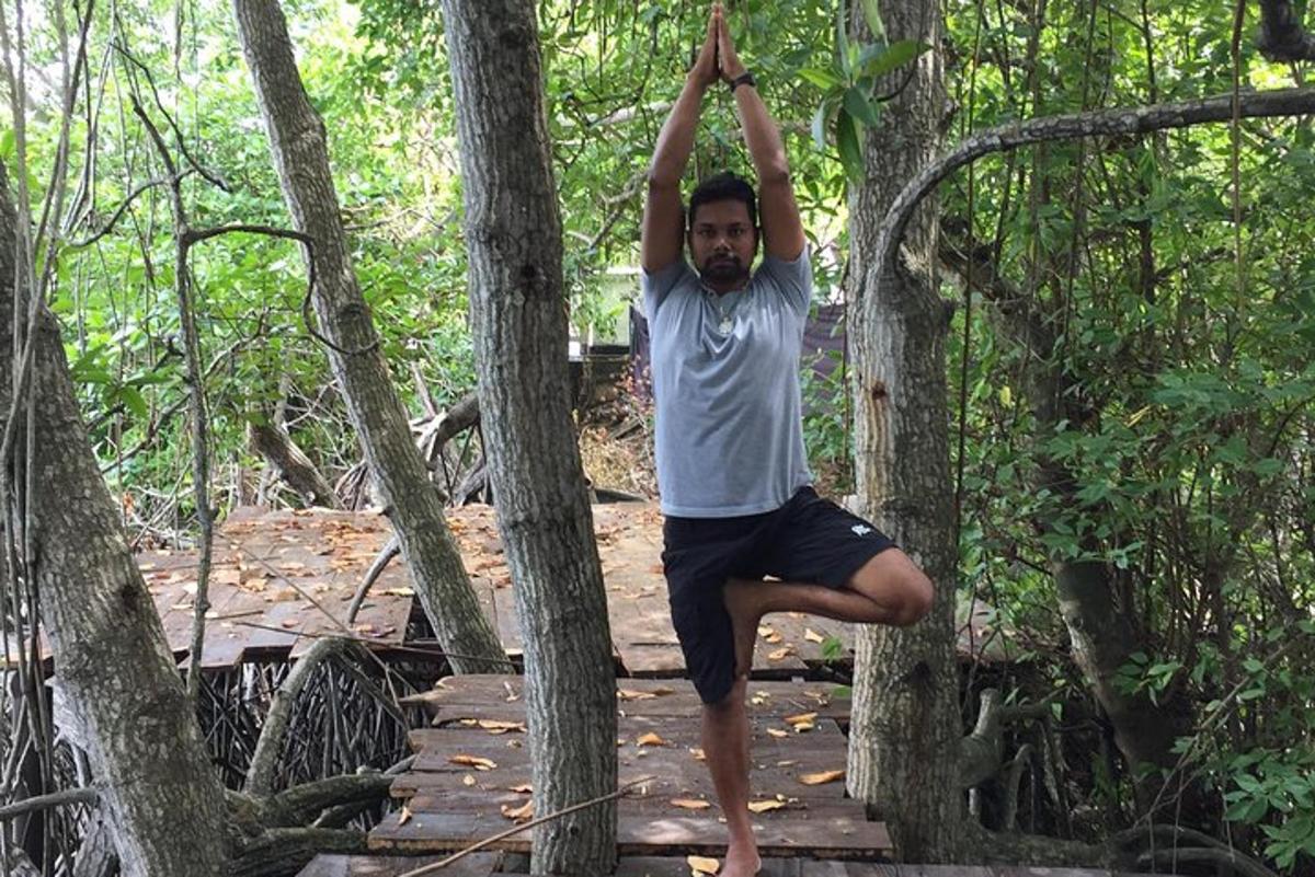 um homem fazendo pose de árvore na floresta