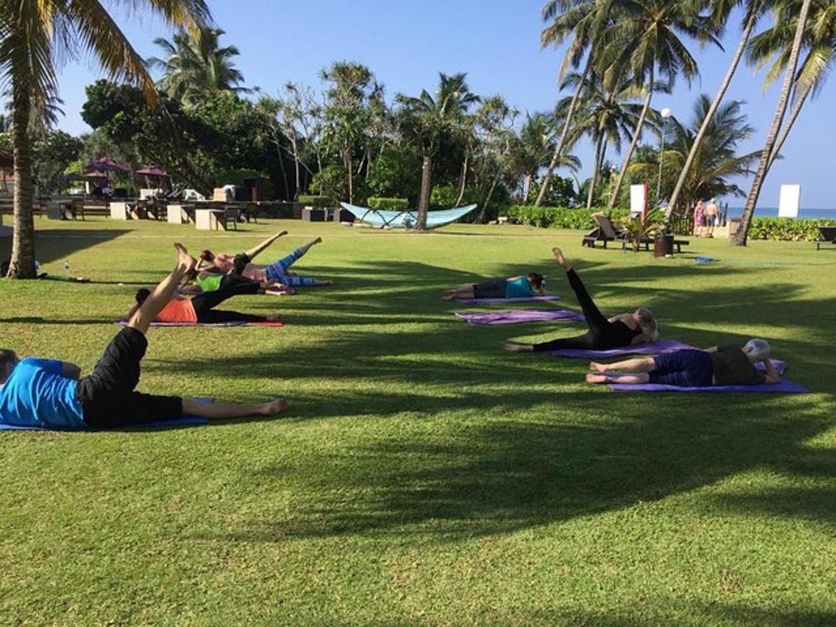 um grupo de pessoas deitadas na grama em um parque