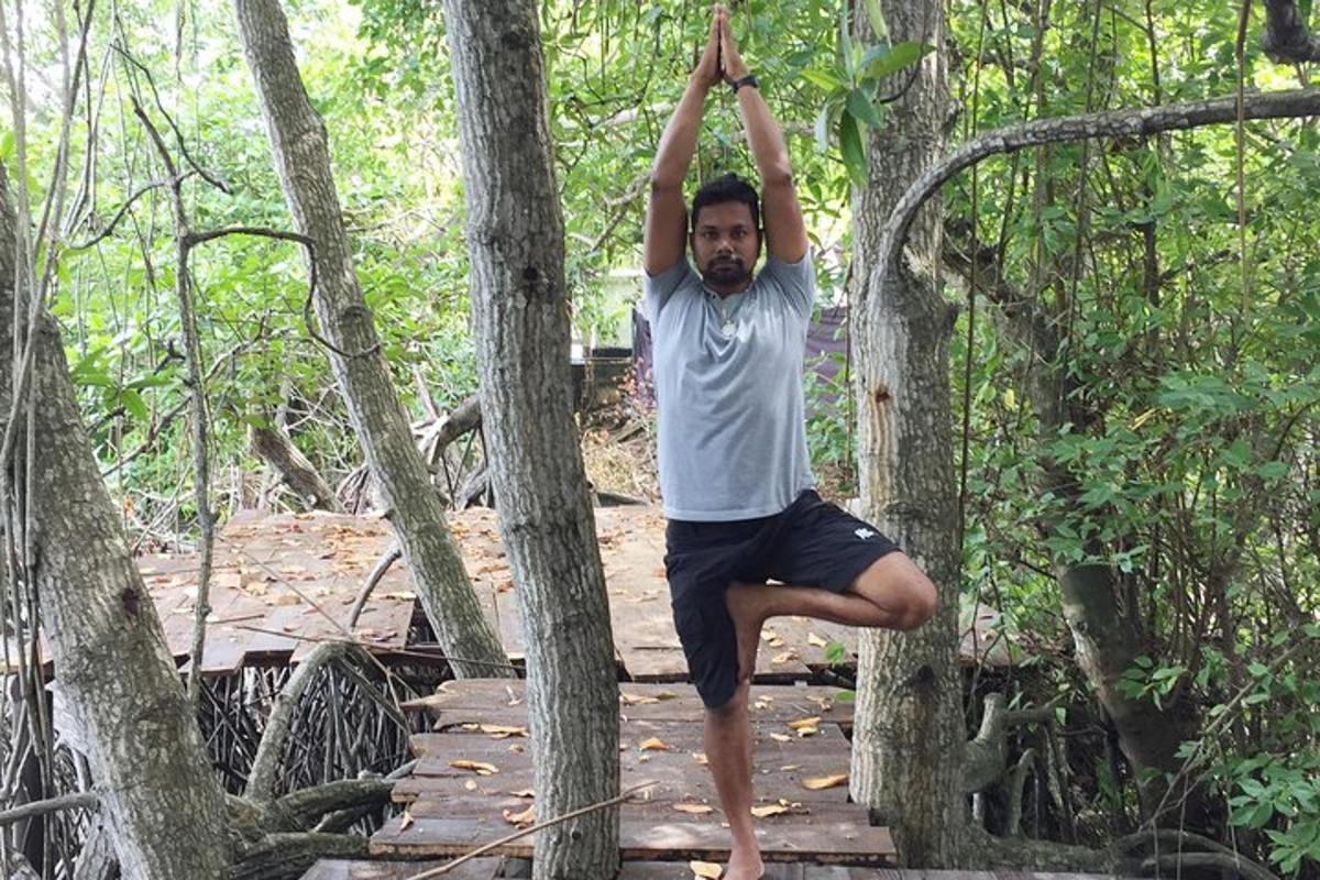 um homem fazendo pose de árvore na floresta