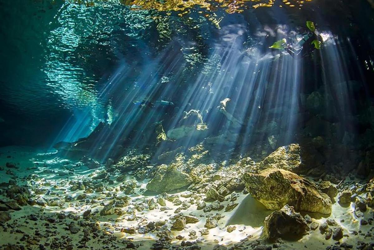 una cova submarina amb peixos i llum solar