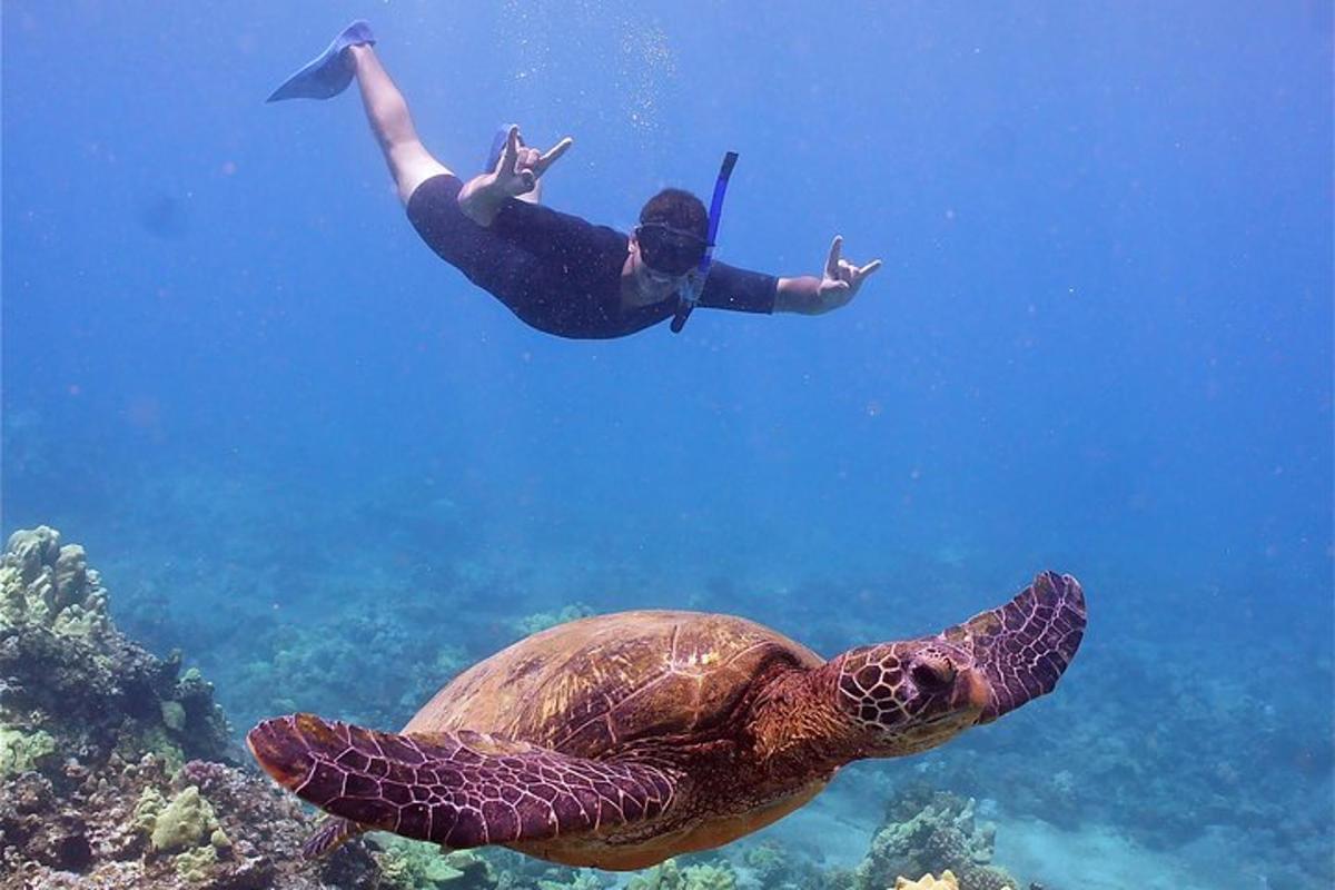 a person swimming in the ocean next to a turtle