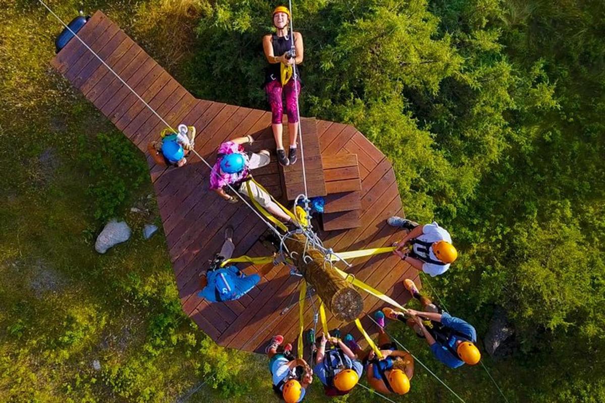 a woman standing on top of a roller coaster