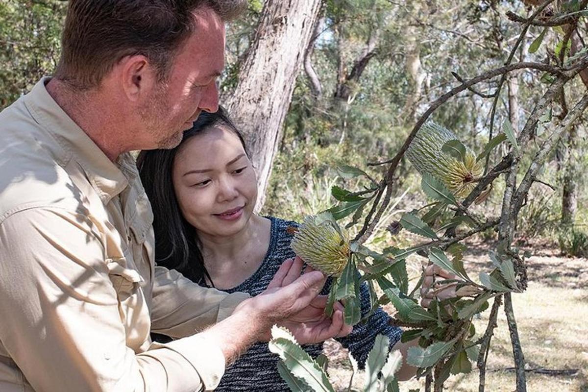un uomo e una donna che guardano una pianta