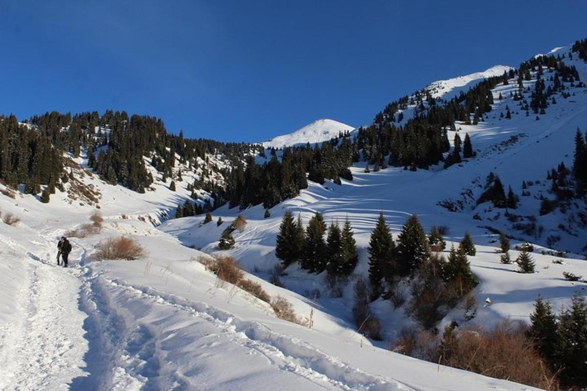 a person is skiing down a snow covered mountain