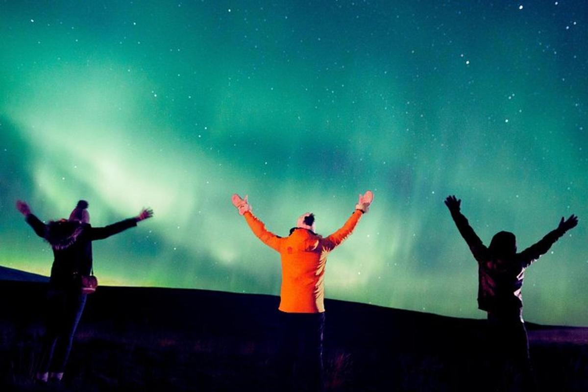 un grup de oameni care stau cu brațele ridicate și privesc aurora boreală