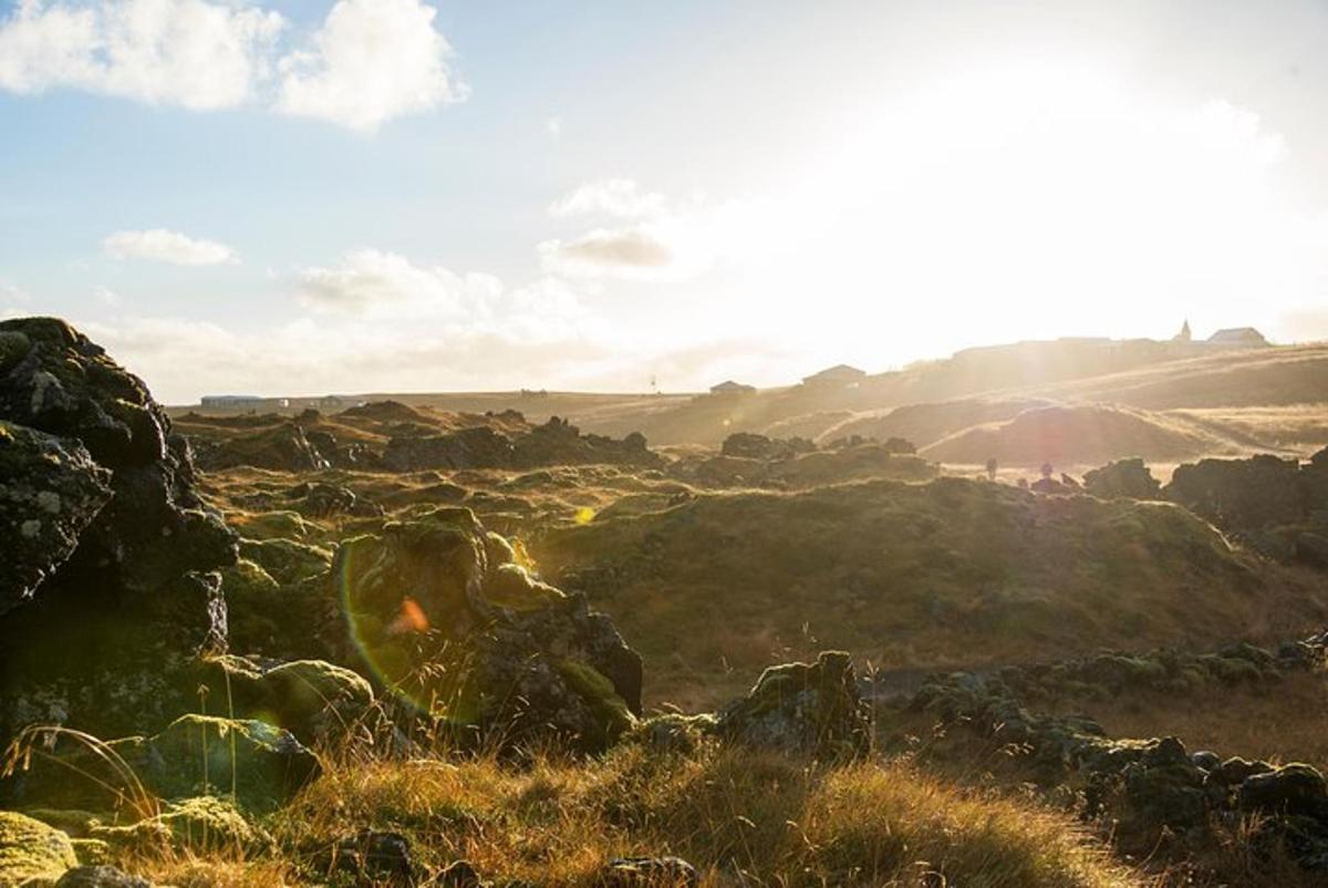 a view of a field with rocks and the sun