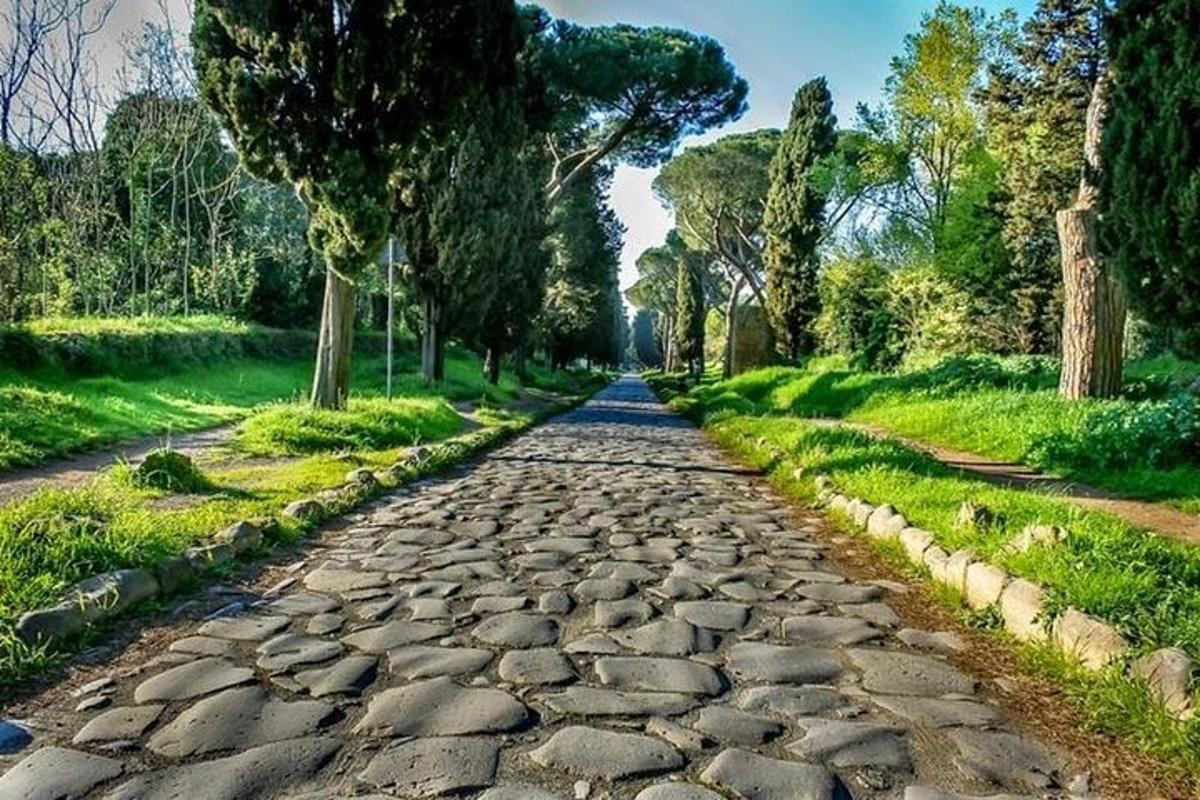 a cobblestone road with trees on either side