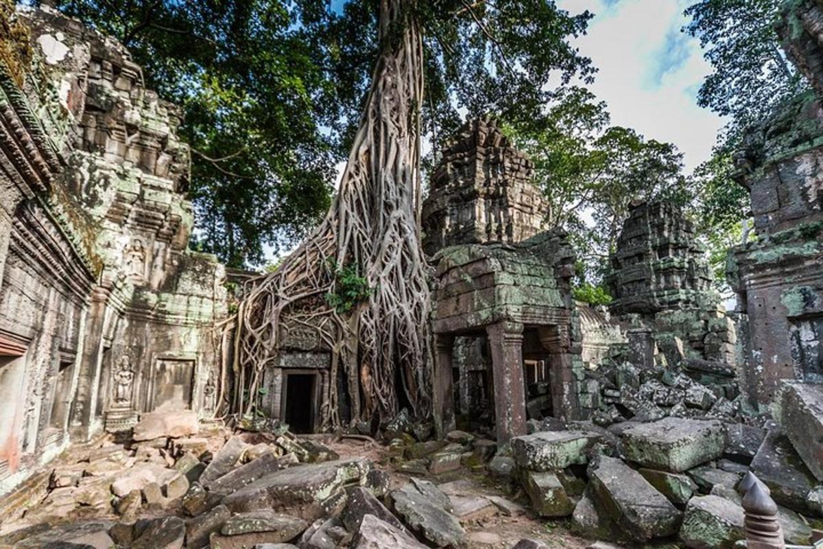 Un antiguo edificio de piedra con árboles creciendo en él.