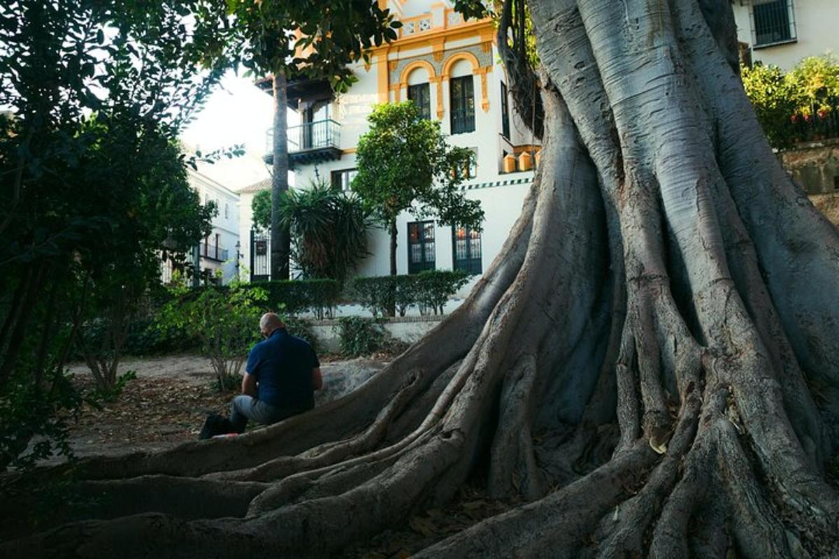 a man sitting in front of a large tree