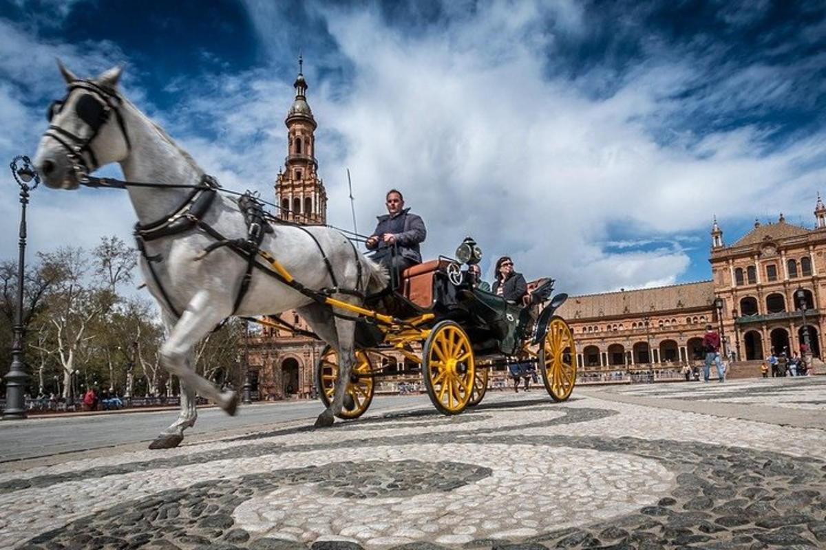 a horse drawn carriage on a city street