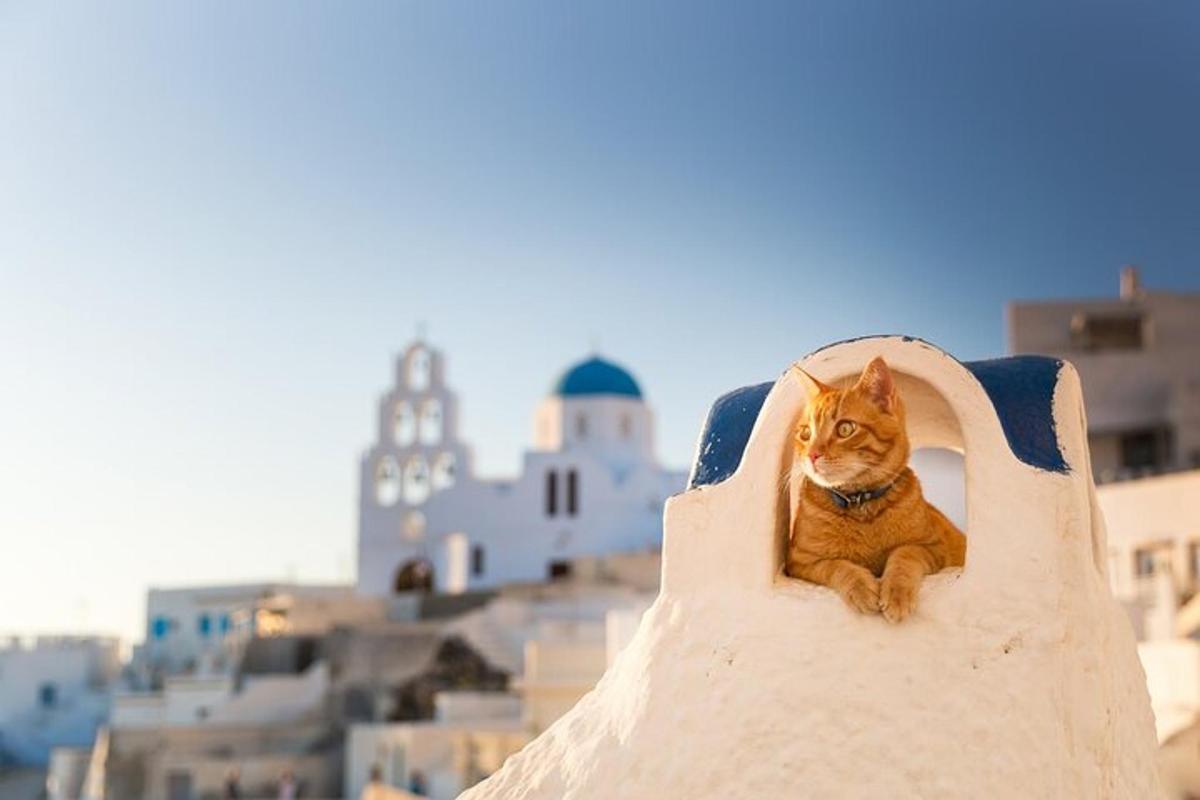 isang pusa na nakaupo sa isang butas sa isang gusali
