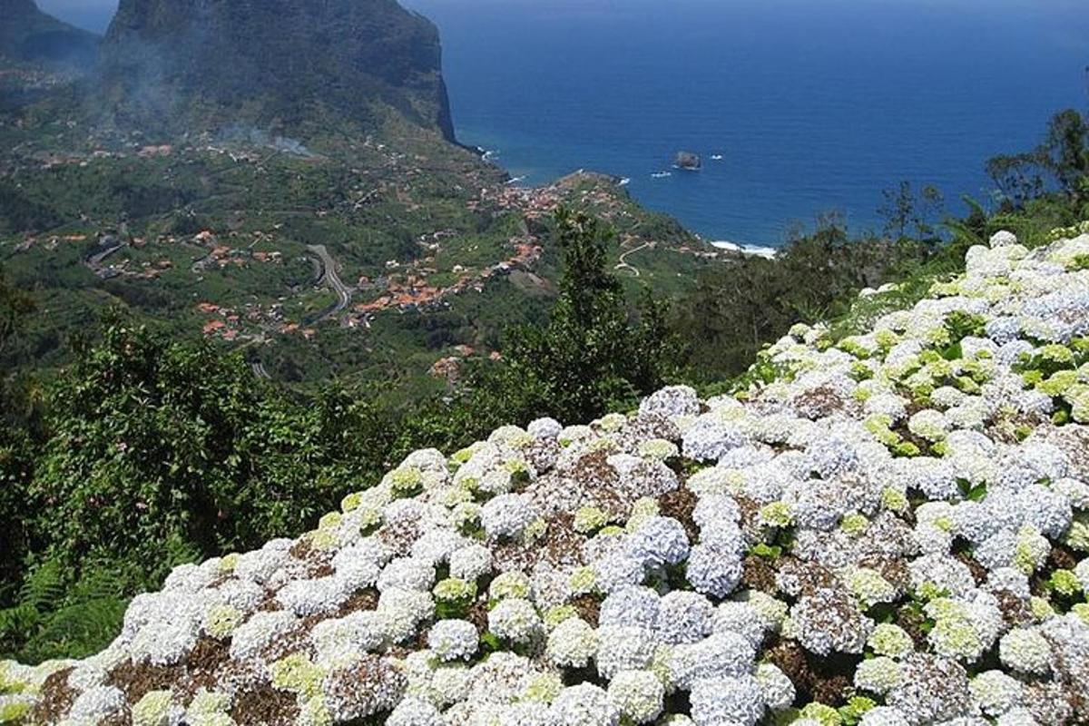um buquê de flores brancas na encosta de uma montanha