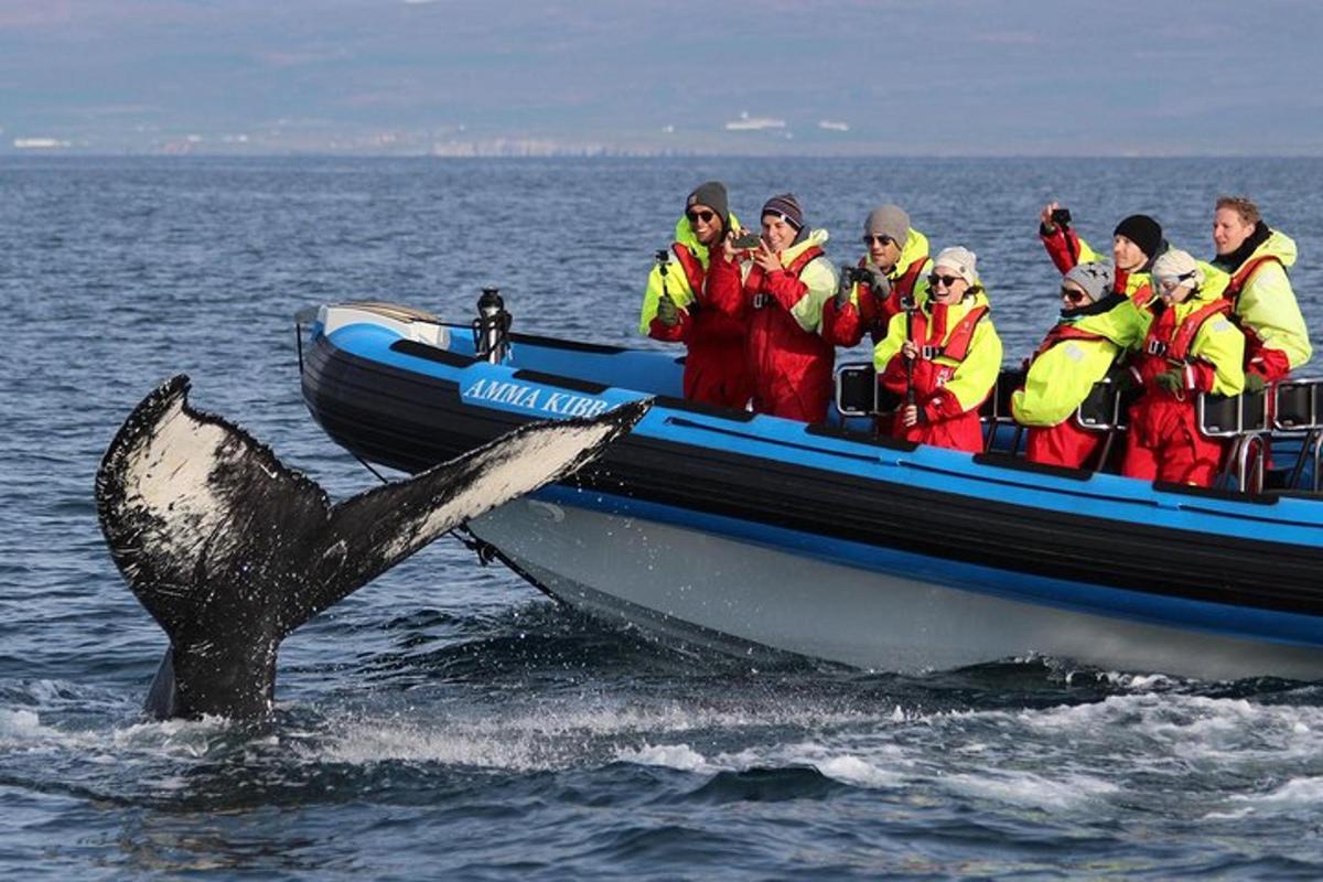 eine Gruppe von Menschen in einem Boot mit einem Wal im Wasser