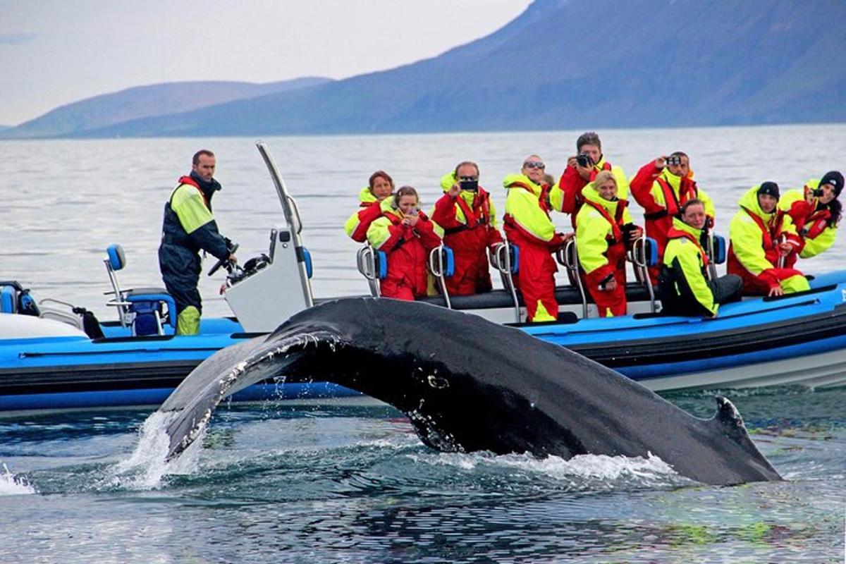 un grupo de personas en un barco con una ballena