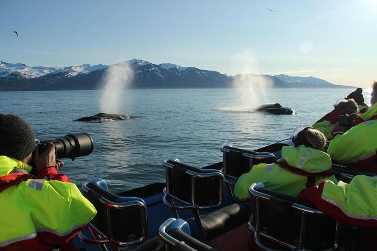 eine Gruppe von Menschen, die Fotos von Elefanten im Wasser machen