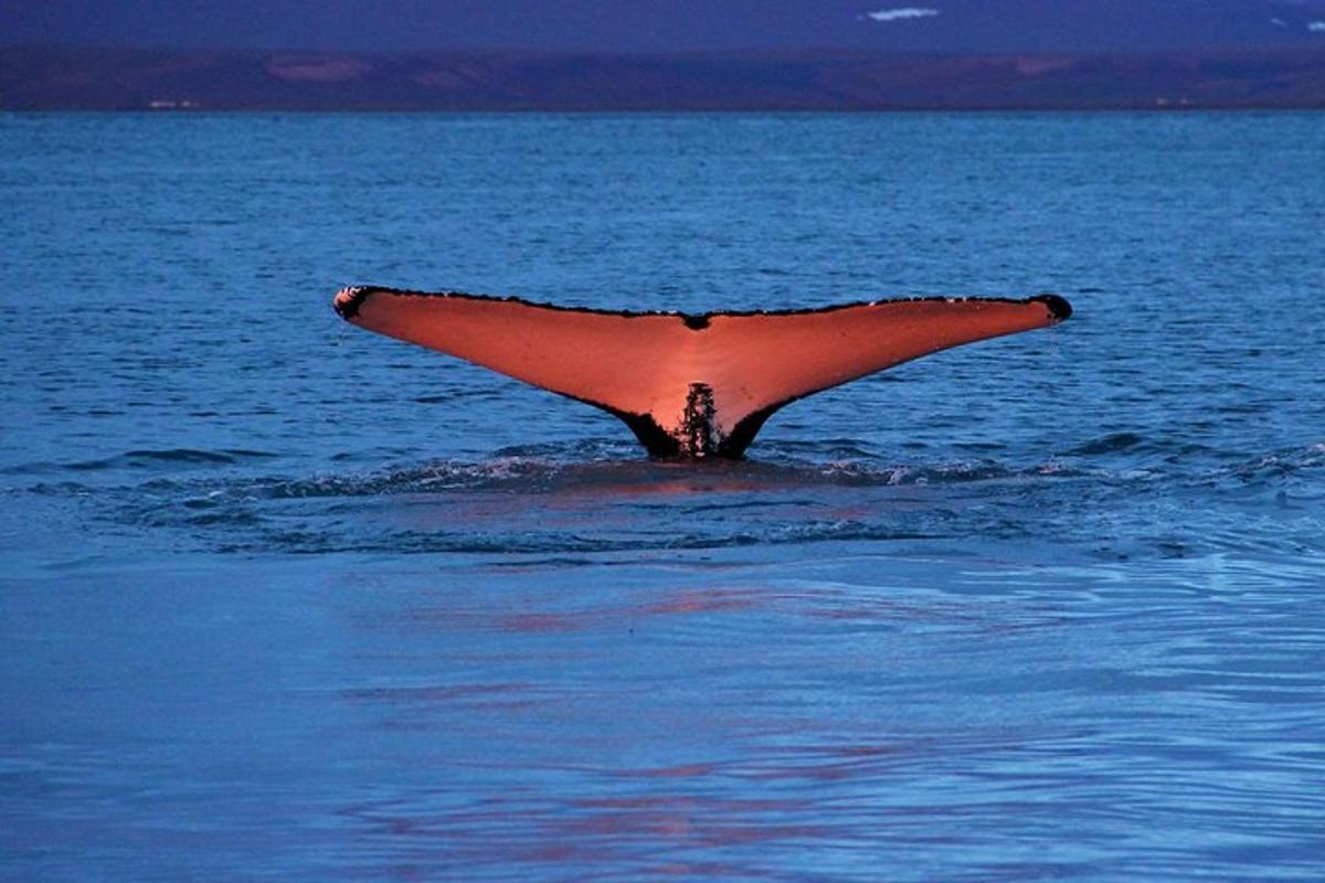 an object sticking out of the water in the ocean