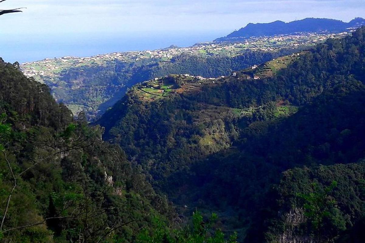 una vista di una montagna con alberi e l'oceano