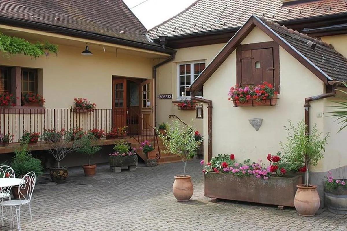 Probieren Sie das Elsass – Verkostung und Erklärungen – ohne Kellerbesichtigung – Foto 2