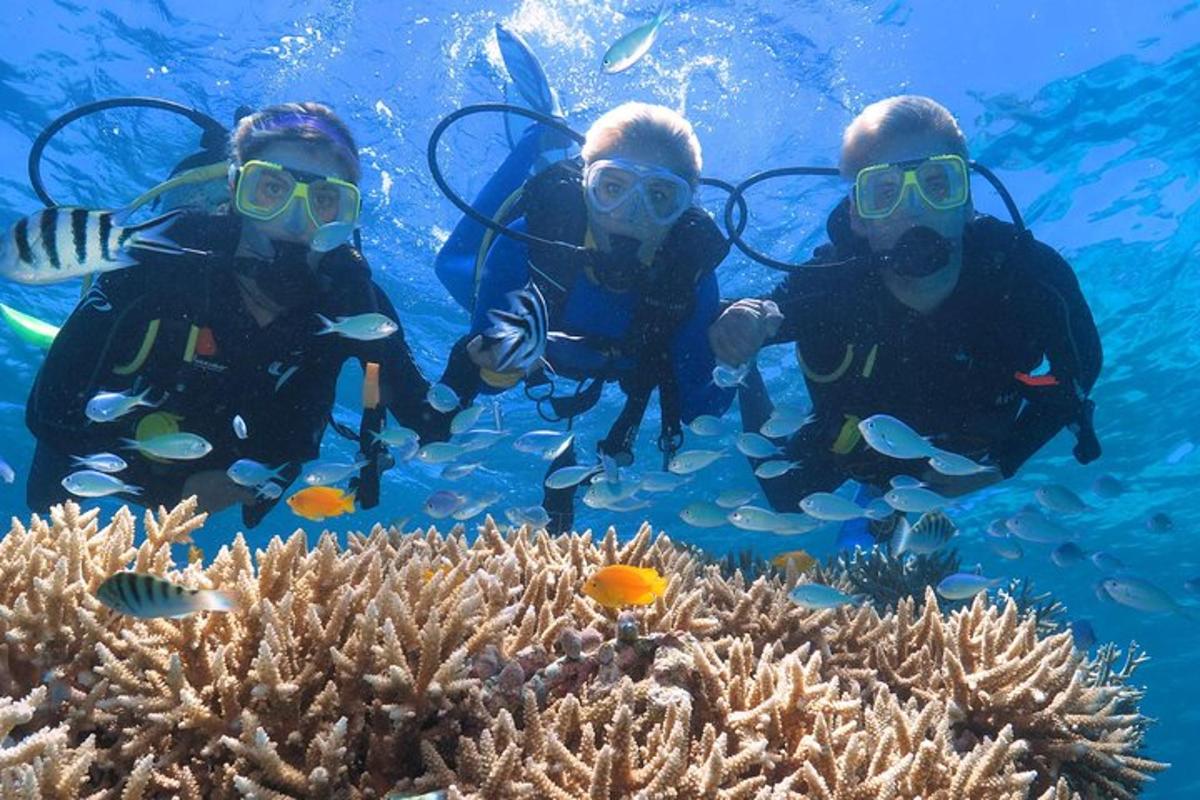 a group of three people swimming over a coral reef