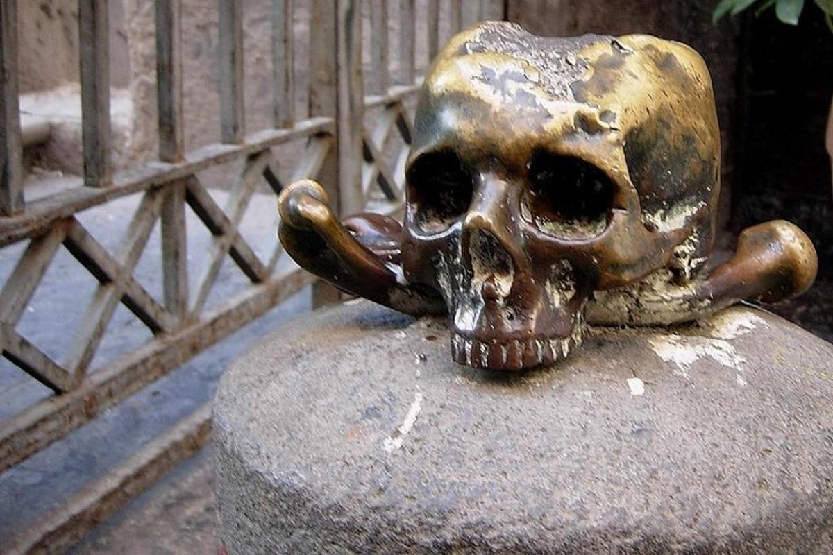 Una calavera encima de un cuenco junto a una valla