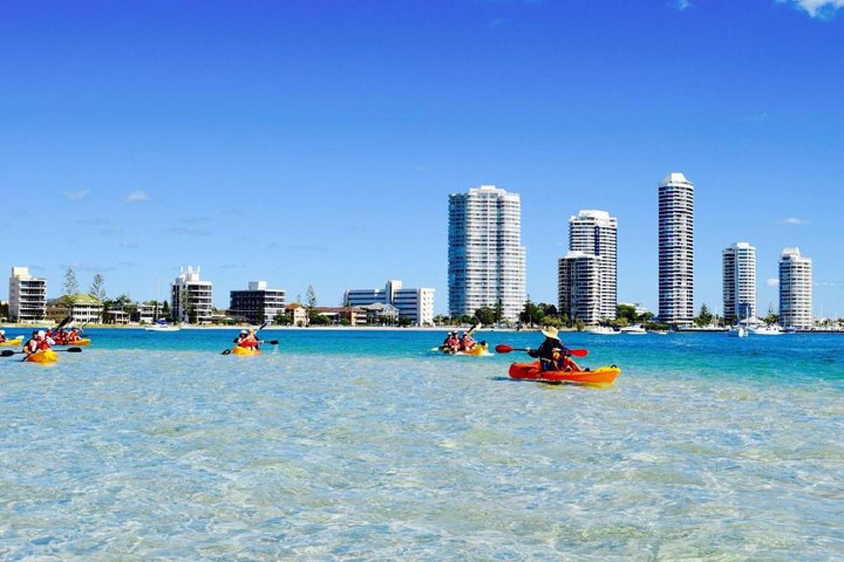 a group of people riding on kayaks in the water