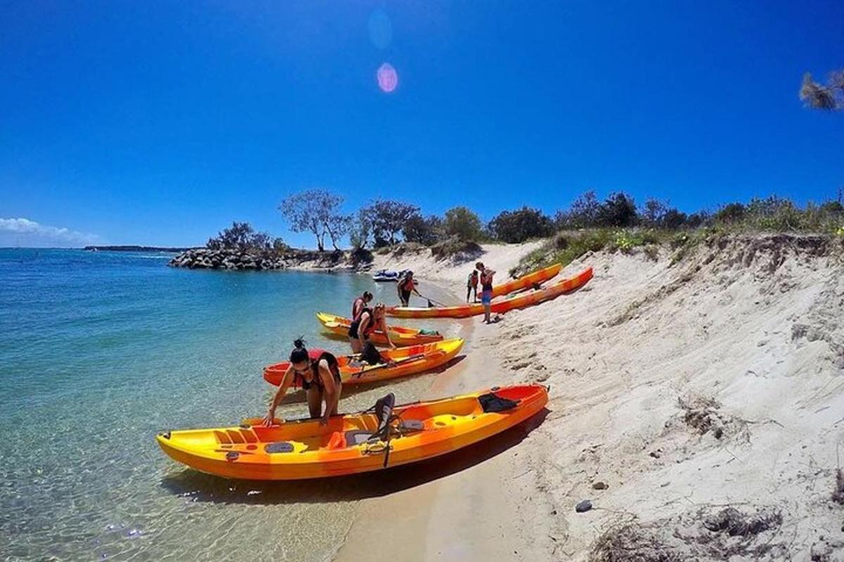 a group of people in kayaks on a beach