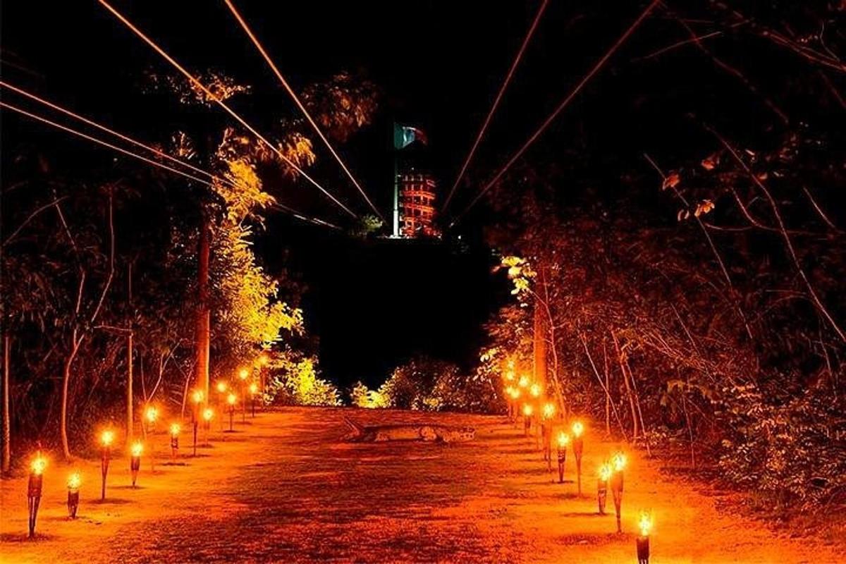 una fila di luci su una strada di notte