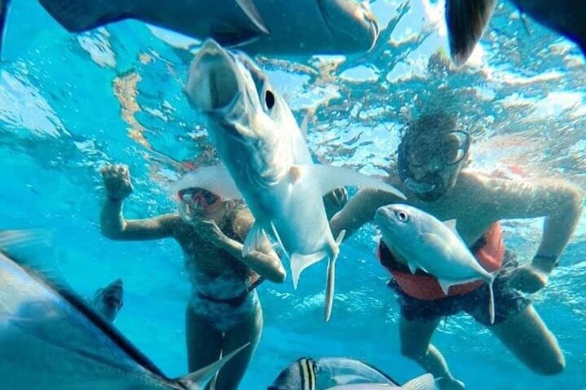 a group of people in the water with fish