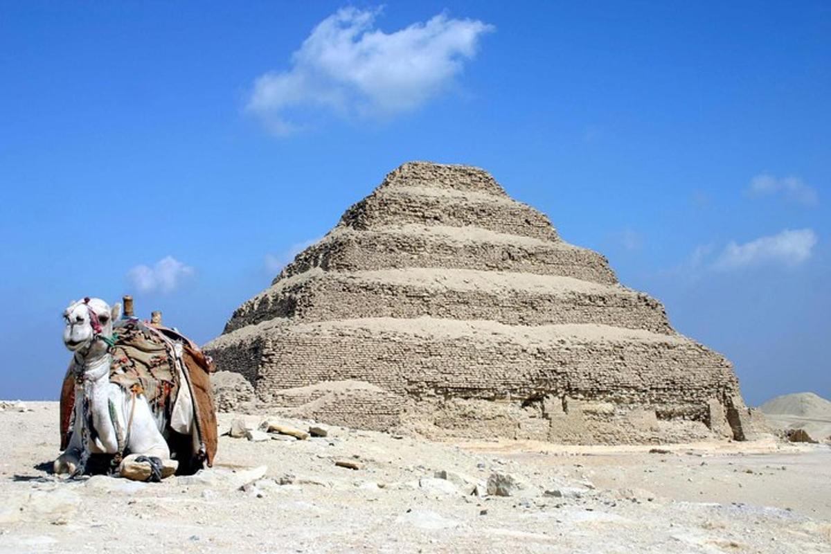 a camel sitting in front of a pyramid