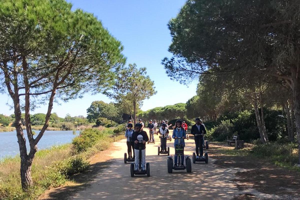 eine Gruppe von Menschen, die mit Segways eine Straße entlangfahren