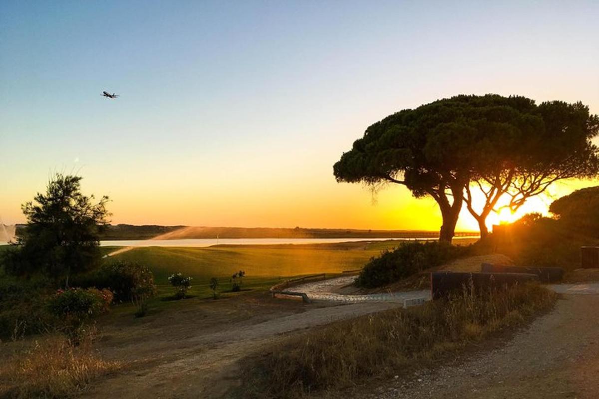 Ein Baum neben einem Gewässer mit Sonnenuntergang