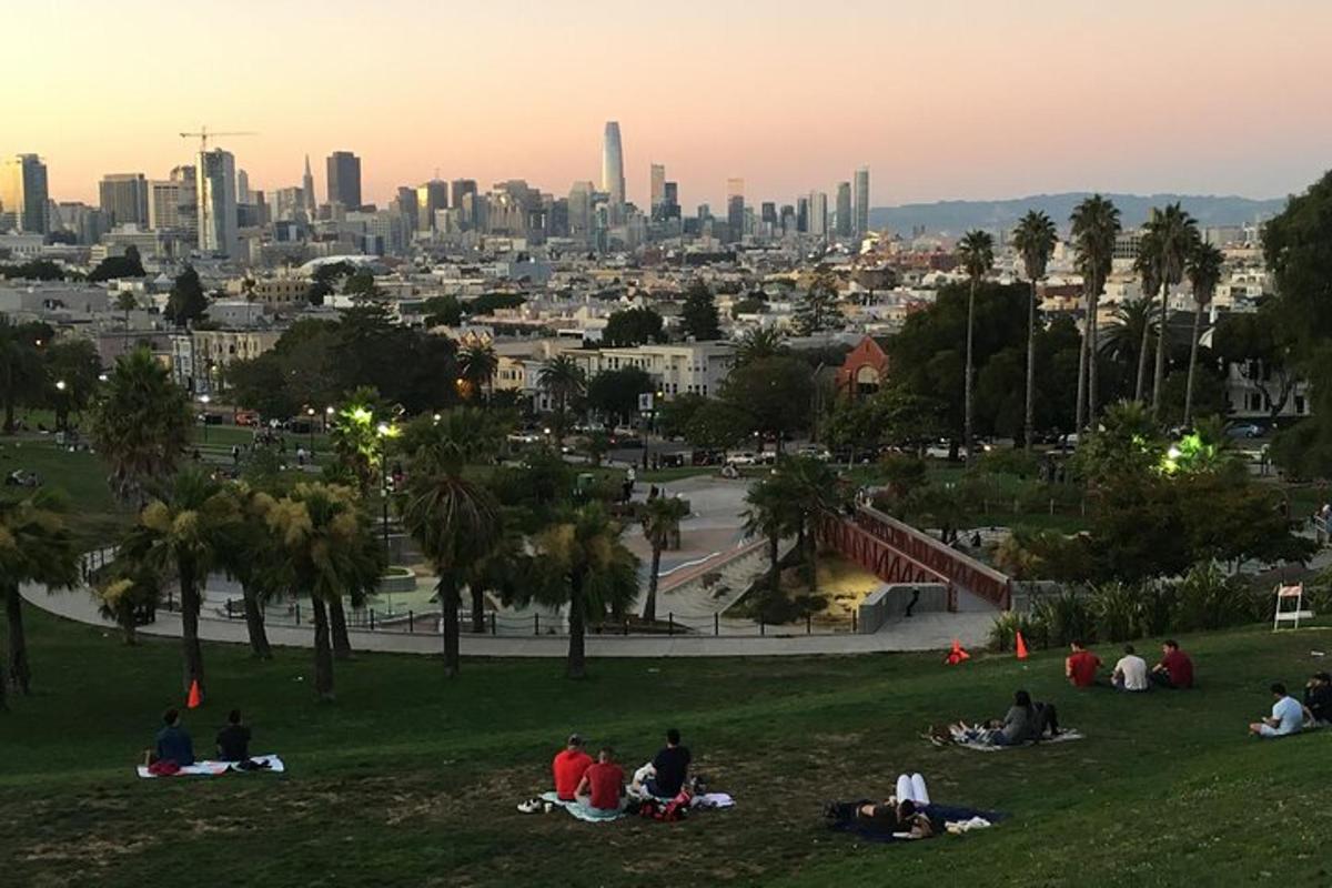 a group of people sitting in a park with a city in the background