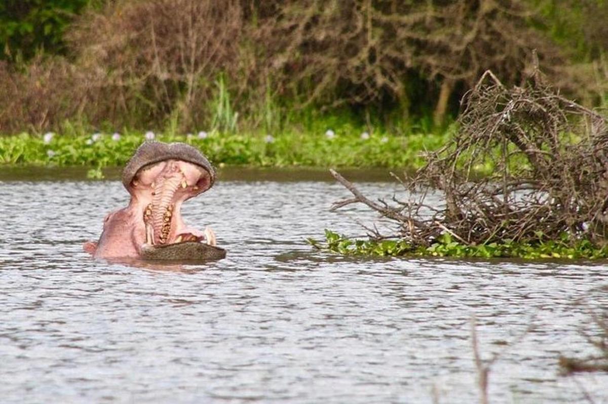 a man in the water with his mouth open