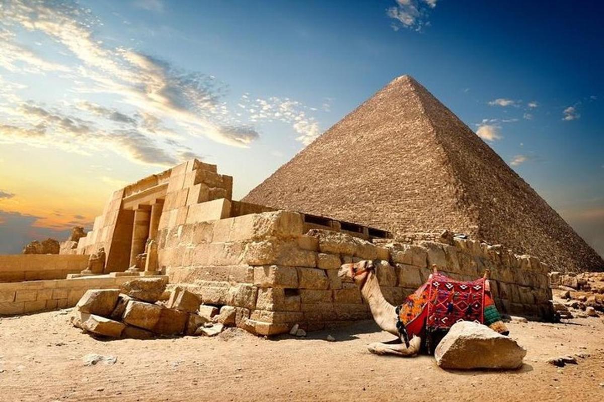 un cammello seduto davanti a una piramide