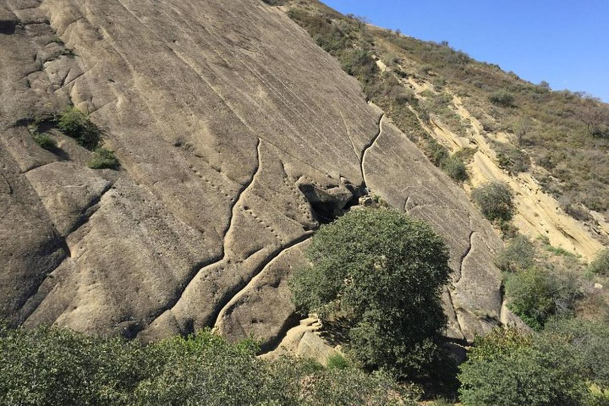 Una montaña con un árbol al lado