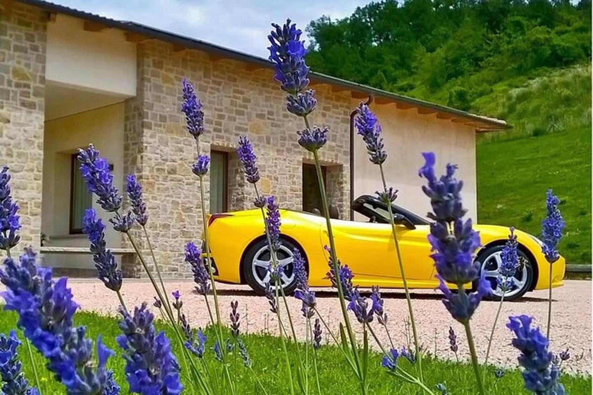 紫色の花が咲いている家の前に駐車された黄色い車