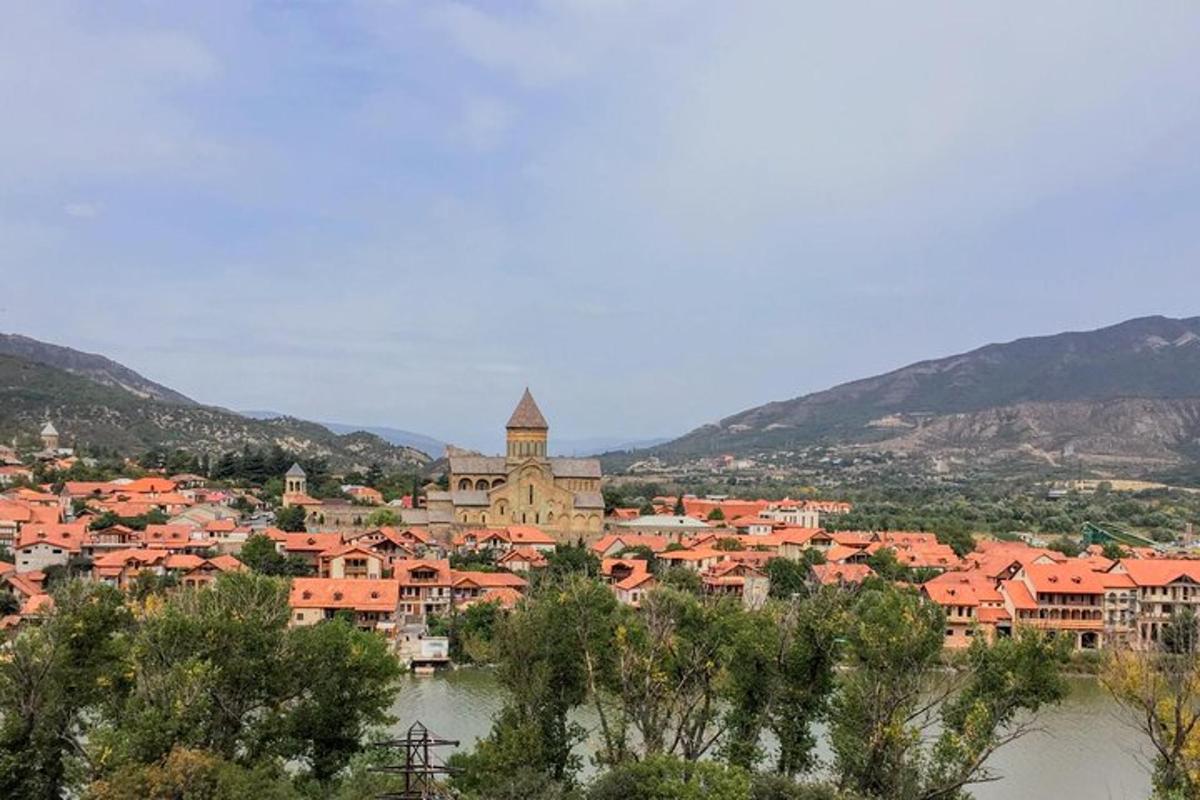 pogled na mesto z oranžnimi strehami in reko