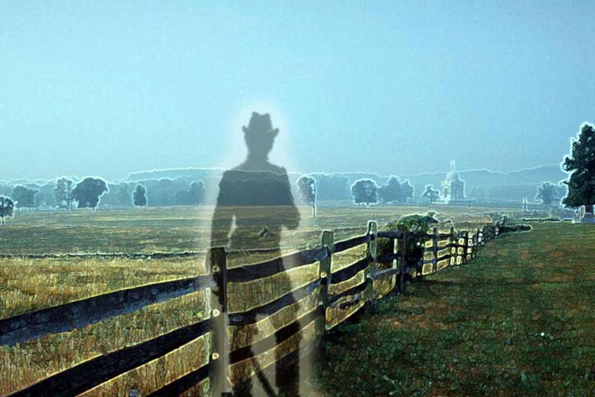 a shadow of a statue in a field behind a fence