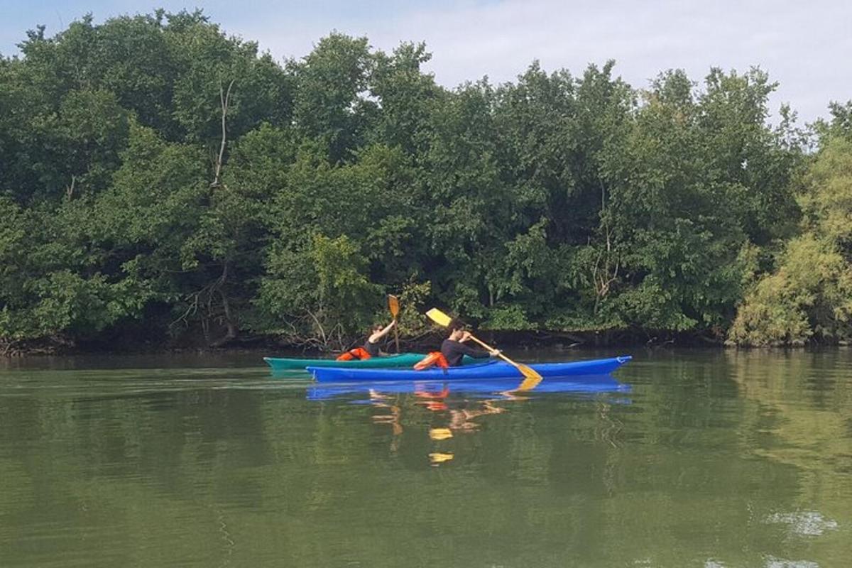 Kaks last on jõel kajakkides