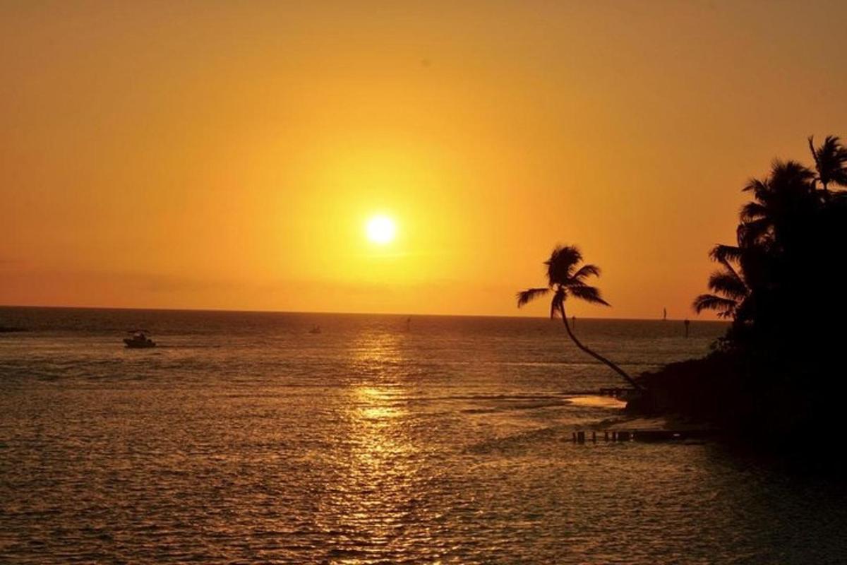 a sunset on the beach with a palm tree