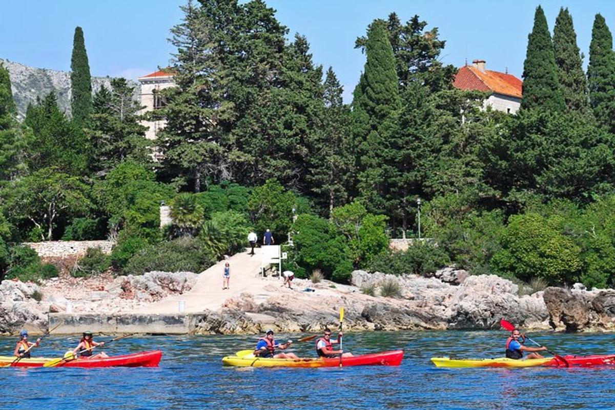 eine Gruppe von Menschen in Kajaks auf dem Wasser