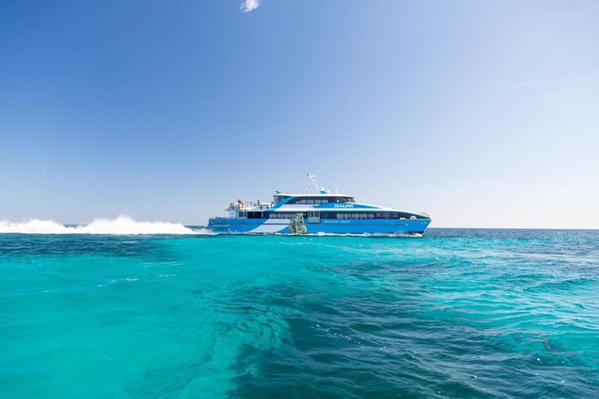 ein großes Kreuzfahrtschiff im Ozean